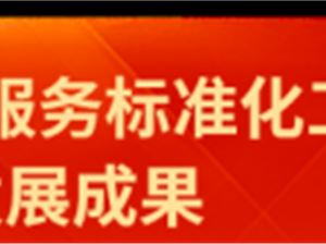 信息技術服務標準在軟件開發中的應用與價值